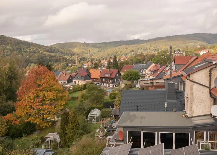 Pfaffentalblick Lejlighed Zella-Mehlis