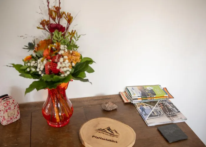 Lejlighed Pfaffentalblick *